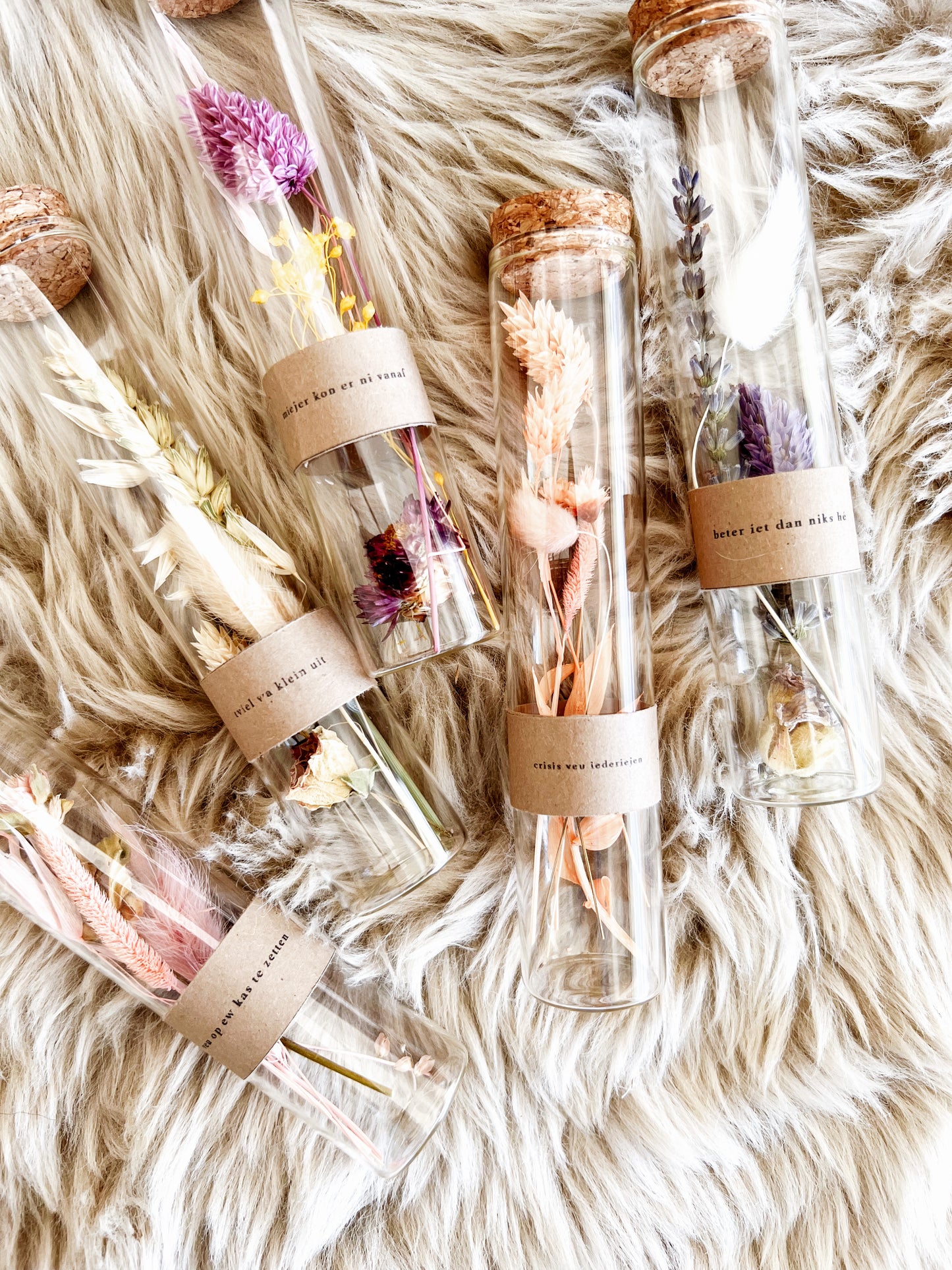 Op z'n kempisch wensbuis